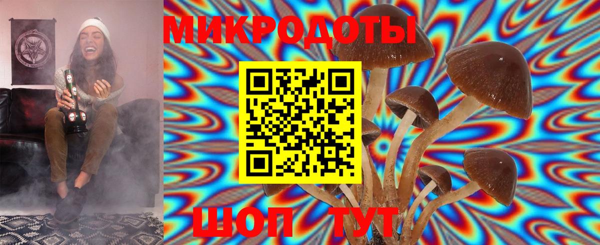 Псилоцибиновые грибы GOLDEN TEACHER Кимовск