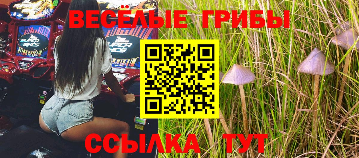 Кимовск  Псилоцибиновые грибы GOLDEN TEACHER  как найти наркотики  Вход с VPN 